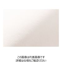 ハネクトーン早川 フリル袖タックブラウスT ホワイト LL WP324-7-LL 1枚（直送品）