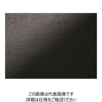 ハネクトーン早川 フリル袖タックブラウスT ブラック S WP324-8-S 1枚（直送品）