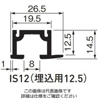 杉田エース ピクチャーレイル ギャラリー IS12(埋込用12.5) 3000S 514985 1本（直送品）