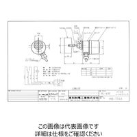 東和制電工業 パドル式レベルスイッチ Wー35X80， G3/4， AC200/220V HL-400-200V-L-100 1個（直送品）