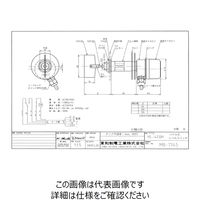 HL-400H-G3/4-110V-L-100（直送品）