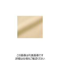 ハネクトーン早川 七分袖ボートネックT（天竺） ベージュ LL WP354-5-LL 1枚（直送品）