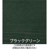 アトムサポート 水性ウッドエバープロテクト 3L ブラックグリーン 4971544089539 1缶（直送品）