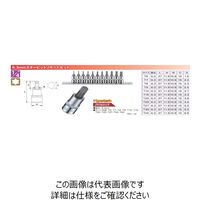 JTC 6.3mm スタービットソケットセット JTCH211T 1個（直送品）