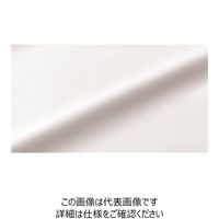 ハネクトーン早川 ブラウス（七分袖） ホワイト 11号 8463-7-11 1枚（直送品）