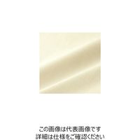 ハネクトーン早川 七分袖シームT（天竺） アイボリー LL WP359-7-LL 1枚（直送品）