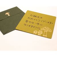 山櫻 かしこ正方形カード・封筒　金魚　10袋セット 351207 1セット（1種×10袋）（直送品）