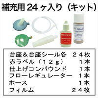 BLUE STAR ガラスリペアキット補充用24ヶ入 SVR-24 1セット（直送品）