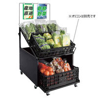 ストア・エキスプレス オリコン陳列台 22861-350 1台 61-831-63-1（直送品）