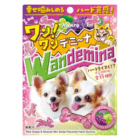 グミ 食べきりサイズ ワンワンデミーナグミ 60g 1セット（1個×12）