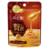 のど飴 キャンディ カリンのど飴 贅沢マヌカハニー ミニパウチ 25g 1セット（1個×24）