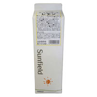 割り材 シロップ ザ・スタンダード レモン 1000ml 1L 1ケース(12本)