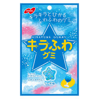 グミ 食べきりサイズ キラふわグミ ソーダ味 50g 1セット（1個×6）