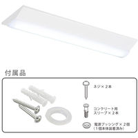 オーム電機 LEDベースライト 逆富士形 20形 3300lm 昼光色 06-5144 1台（直送品）