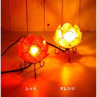 トモ・コーポレーション 照明 カピスロータスランプ Sサイズ 直径12cm オレンジ 423420 1個（直送品）