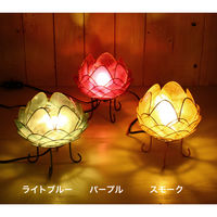 トモ・コーポレーション 照明 カピスロータスランプ Lサイズ 直径16cm パープル 423426 1個（直送品）