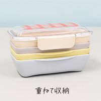 イエロースタジオ お弁当箱 プラッドドームランチボックス1段 500ml レッドグレー 439594 1個（直送品）