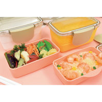 イエロースタジオ お弁当箱 キャルブレドーム2段ランチボックス560ml イエロー 439629 1個（直送品）