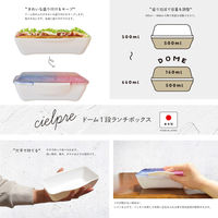 合同会社ビランク 弁当箱 500ml シエルプレ 1段 ランチボックス サックスピンク 479788 1個（直送品）