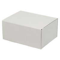 シモジマ HEIKO ナチュラルグレーボックス 220×160×100 無地 006220005 1セット(1セット(100枚入)×5)（直送品）