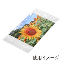 シモジマ SWAN OPP袋 ピュアパック HC 9.1ー13 006798526 1セット(1セット(100枚入)×10)（直送品）