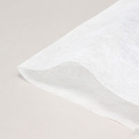 シモジマ HEIKO 不織布袋 不織布インナーバッグ 10ー15 ホワイト 008733910 1セット(1セット(100枚入)×50)（直送品）