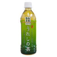 JAビバレッジ佐賀 うれしの茶 500ml 1箱（24本入）