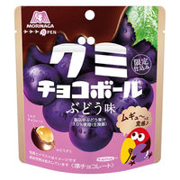 チョコレート菓子 グミ　食べきりサイズ グミチョコボール　ぶどう味　47g 1セット（1個×5）