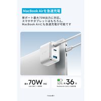Anker Nano Charger(70W 3 Ports)ピンク A121AN51 1個