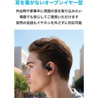 Anker Soundcore V20i(ブラック) A3876Z11 1個