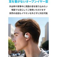 Anker Soundcore V20i(ホワイト) A3876Z21 1個