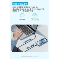 Anker Zolo USBーC & USBーA ケーブル 1.0m ブラック A8052011 1本