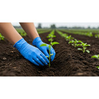 ショーワグローブ ニトリル手袋 100枚入 Sサイズ RZ003-S 1セット(10BOX)（直送品）