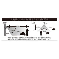 和コーポレーション 自動撮影・トレイルカメラ 害獣/防犯対策 SP-TRL 1台（直送品）