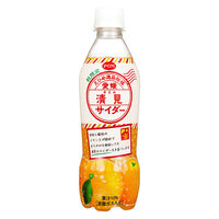 【アウトレット】えひめ飲料 POM 愛媛清見サイダー 410ml 1セット（6本）