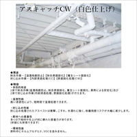 岐阜環境研究所製 アスベスト総合処理剤 アスキャッチCW 白色タイプ 1缶(15kg)（直送品）
