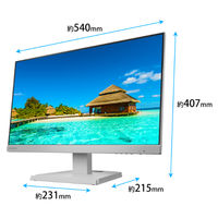アイ・オー・データ機器 USB TypeーC搭載 23.8型ワイド液晶ディスプレイ ホワイト LCD-C242SDW 1台