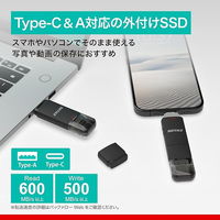 バッファロー USB3.2 TypeーC/Aスティック型SSD 2.0TB ブラック SSD-SD2.0U3-BA 1個