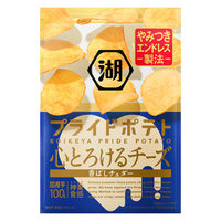 スナック菓子 ポテトチップス 食べきりサイズ 湖池屋 プライドポテト 心とろけるチーズ 1セット（1個×6）