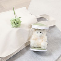 不二貿易 推し活 バッグ ぬいぐるみ クリアバッグ ぬいぐるみポーチ グリーン 480097 1個（直送品）