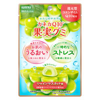 グミ 食べきりサイズ 機能性表示食品 果実グミ シャインマスカット味 40g 1セット（1個×16）