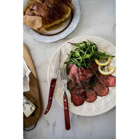 TRAMONTINA 29810/025 ポリウッド テーブルナイフ EU style レッド 1セット(120本入)（直送品）