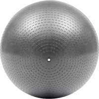 プロアバンセ トレーニング ジムボール55cm グレー ADBL11245 1個