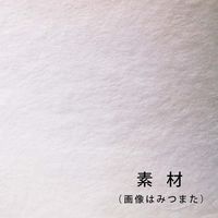 ゴークラ 千年の和紙「彩」 インクジェット対応 A4 20枚 みつまた SWI-1 1セット(500枚:20枚×25)（直送品）