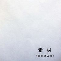 ゴークラ 千年の和紙「彩」 インクジェット対応 A4 20枚 あさ SWI-3 1セット(500枚:20枚×25)（直送品）