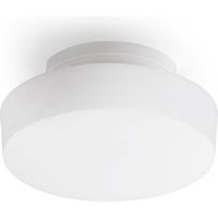 アイリスオーヤマ LED 小型シーリングライト 1200lm 昼白色 SCL12N-MCHL 1個