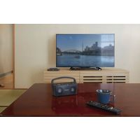 【ギフト包装】廣瀬無線電機　デジタルワイヤレススピーカーシステム　210252090　1個（直送品）