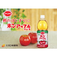 ポン　アップルジュース　800ml (2箱12本） 4908729108600 えひめ飲料（直送品）