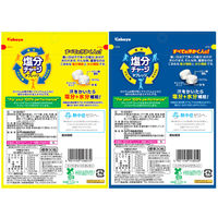カバヤ食品 塩分チャージタブレッツ 2種アソートセット 1箱（約180粒入：約30粒入×6袋）