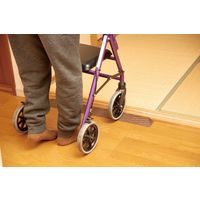 ダンロップホームプロダクツ ダンスロープミニ R-7655M 04802 高さ5.5cm 1本   介援隊 R1043（直送品）